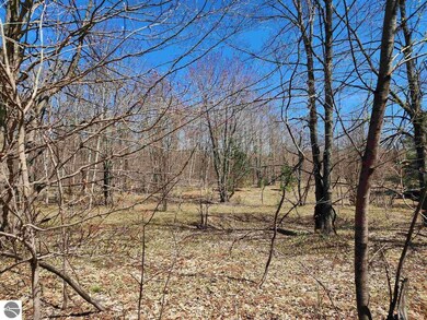 VL Wilamont Cir, Lakes of the North, MI 49659 - photo 2