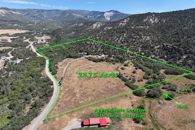 18842 58 6 10 Rd, Collbran, CO 81624 - photo 4