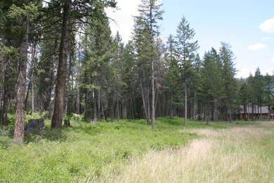 68 Wood Ridge Dr, Columbia Falls, MT 59912 - photo 4