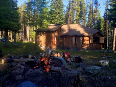 Cabin and fire pit