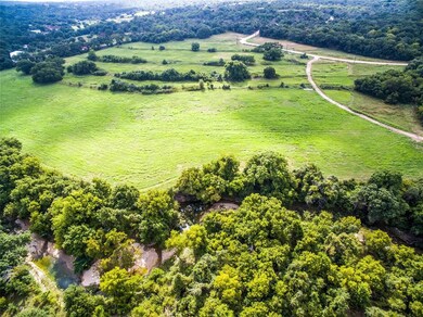 299 Mastadon Way, Weatherford, TX 76085 - photo 3