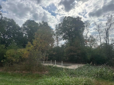 0 Landon Rd, Orange, TX 77632 - photo 6