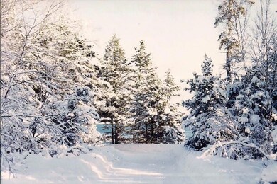 A beautiful winter day after a snow...