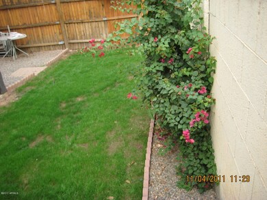 Lots of backyard space
