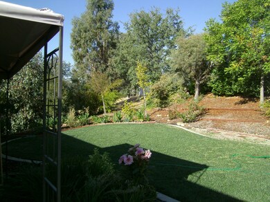 Lawn to edge of property