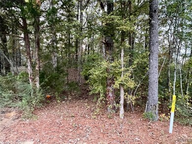 00 8th Ave SW, Fayette, AL 35555 - photo 2