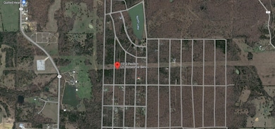 1512 Pavilion Ln, Horseshoe Bend, AR 72512 - photo 3