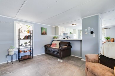 101 Catahoula Rd, Carencro, LA 70520 - photo 6