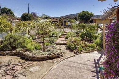 Drought tolerant and native plants, as well as flo