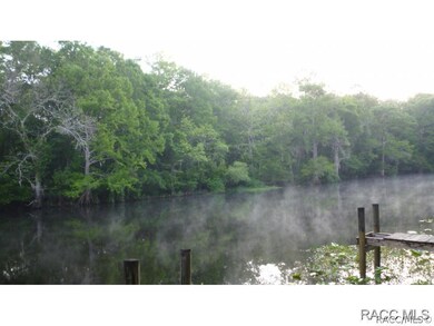 Wetlands Across the River
