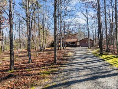 749 Henry Thompson Rd, Tryon, NC 28782 - photo 4