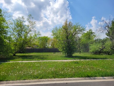 4900 Crest Ct, Country Club Hills, IL 60478 - photo 3