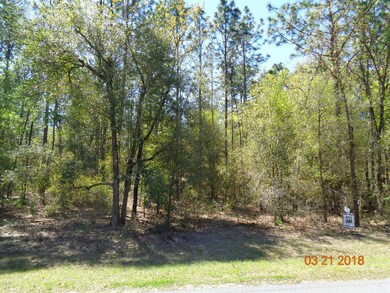 0 SW 95th St unit OM533598, Dunnellon, FL 34431 - photo 2