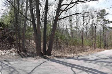 377 Peninsula Knolls Ln, Traverse City, MI 49686 - photo 2