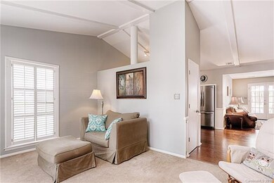 Living Room with Vaulted Ceiling - beautiful plant
