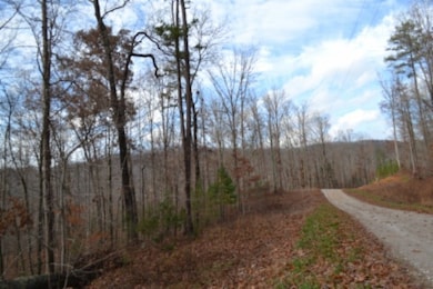 0 Tomahawk unit RTC3050220, Jamestown, TN 38556 - photo 4