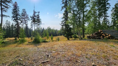 11678 S Whitetail Rd, Bigfork, MT 59911 - photo 4