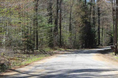 70 Evergreen Dr unit 18, New Hampton, NH 03256 - photo 2