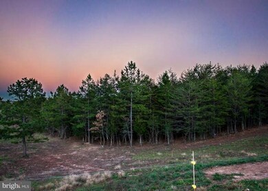 12700 New Chapel Rd, Spotsylvania, VA 22551 - photo 3