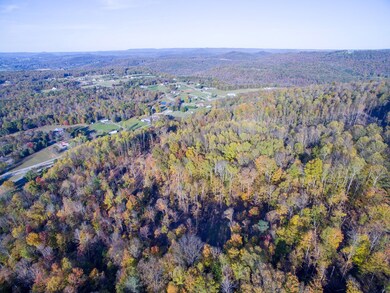 25ac Brotherton Mtn Rd, Cookeville, TN 38506 - photo 3