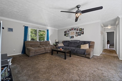 252 Saxe Rd, Mogadore, OH 44260 - photo 6