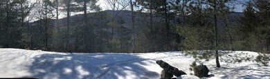 snow pano