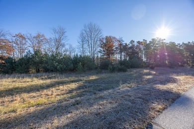 11253 Killarney Dr, Canadian Lakes, MI 49346 - photo 3