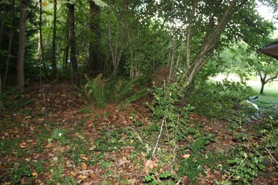 226 216th St SW, Bothell, WA 98021 - photo 4