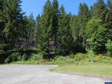 0 N Santiam Hwy unit 832277, Idanha, OR 97350 - photo 3