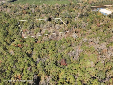 Old_Hwy_24_W_Lot_35-2