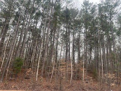 0 Cascade Palmetto Hwy unit 7534535, Fairburn, GA 30213 - photo 4