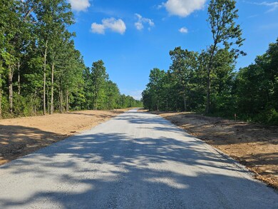 Lot 13 Deerwood Estates, Aurora, MO 65605 - photo 6