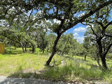 8936 Fox Briar Ln, Boerne, TX 78006 - photo 4