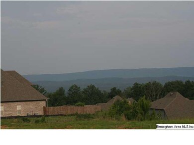 View of Double Oak Mountain. Views from each home 