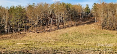 151 Cobb Rd, Blacksburg, SC 29702 - photo 3