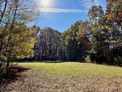 0 Wilson Rd unit 25582294, Pheba, MS 39755 - photo 6