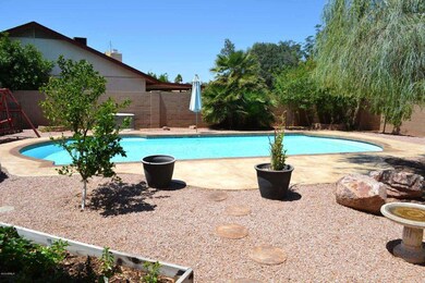 backyard1
