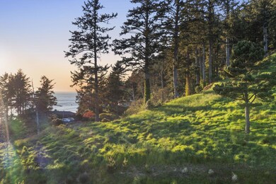 14-web-or-mls-DJI_0563