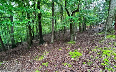 Additional View