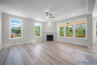 3917 Jett Ct, Gum Spring, VA 23065 - photo 5