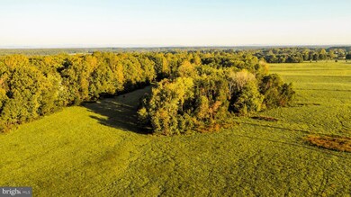 3553 Bibb Store Rd, Louisa, VA 23093 - photo 6