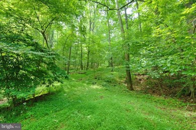 23406 Korea Ln, Middleburg, VA 20117 - photo 5