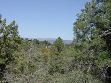 1203 E Phoenix St, Payson, AZ 85541 - photo 7
