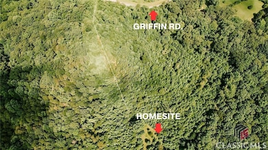 0 Griffin Rd unit CM1027810, Royston, GA 30662 - photo 2