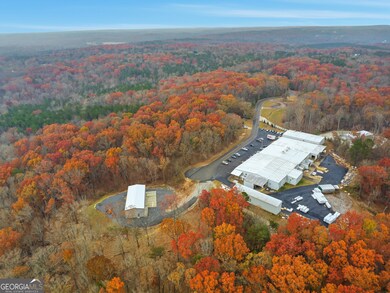 0 Hogan Pond Ln unit 10652503, Ball Ground, GA 30107 - photo 4