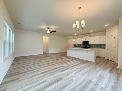 316 Palmetto Sand Loop unit Lot 13 Bailey D, Conway, SC 29527 - photo 4