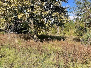 000 Blaty Rd, Lamar, AR 72846 - photo 7