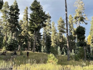 Perfect location for you mountain home