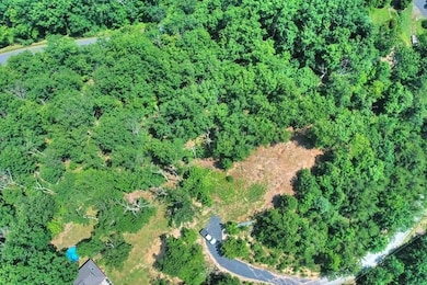 TBD Laurel Ridge Ln, Lyndhurst, VA 22952 - photo 2