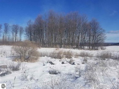 13507 S Bahia Vista Dr unit 16, Traverse City, MI 49684 - photo 2